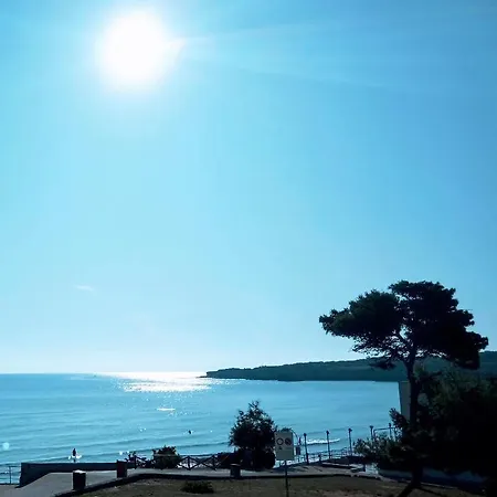 Alela - Alessia Apartman *